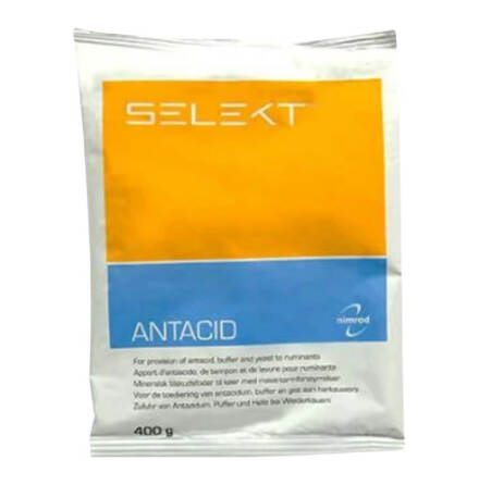 Selekt Antacid 400 g