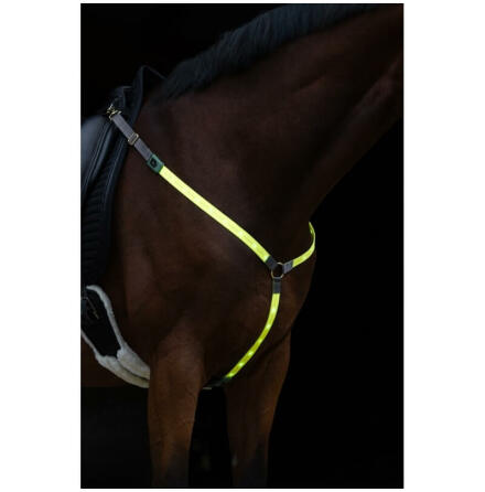 Br�sta LED f�r h�st Kerbl