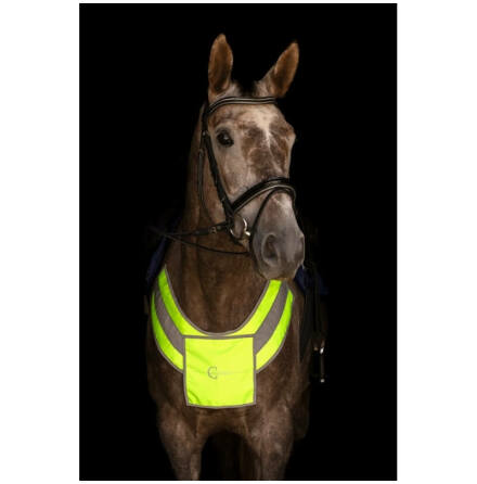 Reflexbr�sta f�r h�st Kerbl