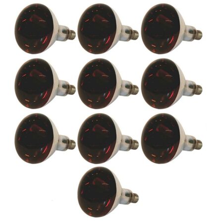V�rmelampa Gl�dlampa Kerbl IR R�d 250 Watt 10-pack