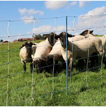Frelnt TitanNet Premium Vario +/- 108 cm Dubbelspets Bl-Vit/Vit 8 trdar 50 Meter Elstngselnt