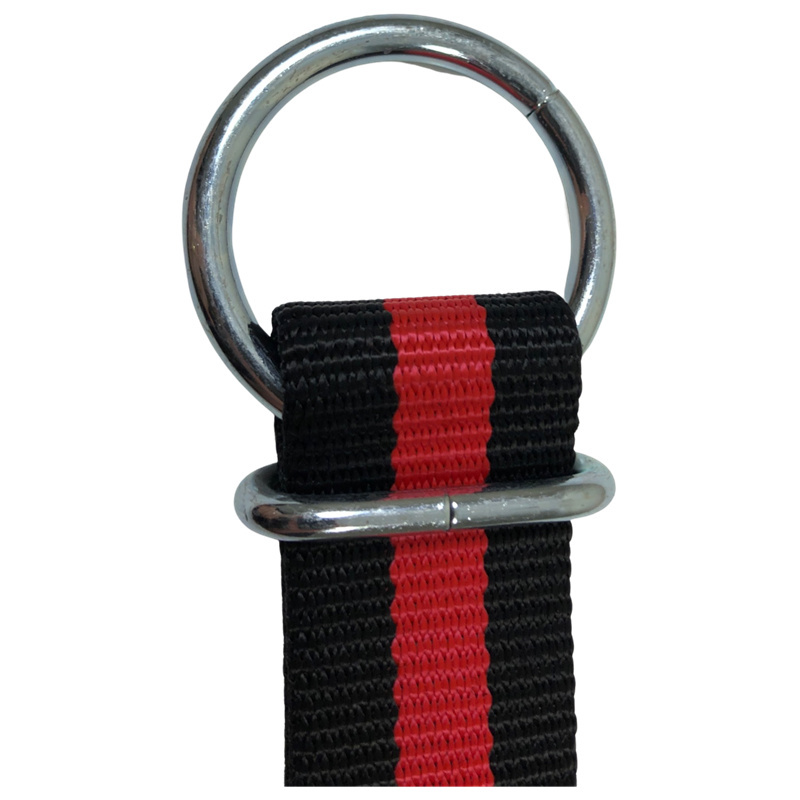Halsrem svart/röd 120 cm nylonförstärkning med D-ring